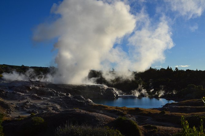 7 Hours Te Puia Rotorua Tour from Tauranga with Concert - Key points to know before booking