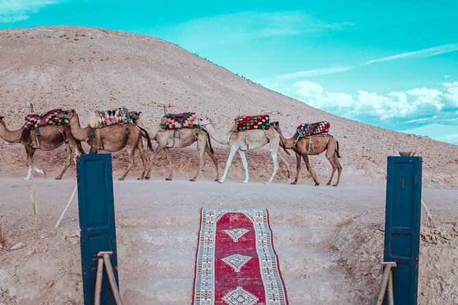 Agafay Desert Camel Ride from Marrakech with Dinner & Live Music - Why Agafay works for a short desert evening