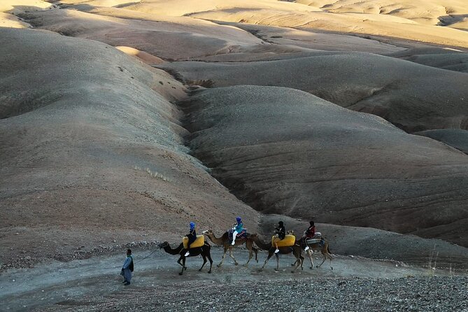 Agafay Desert Camel Ride from Marrakech with Dinner & Live Music - What the $81.80 price includes