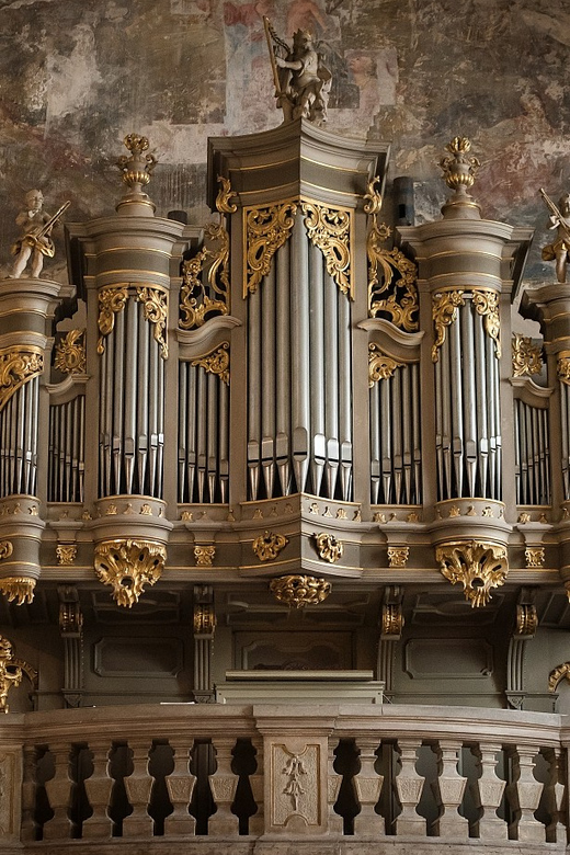 Budapest: Concert on the Oldest Working Organ in the City - Who will enjoy this concert most?