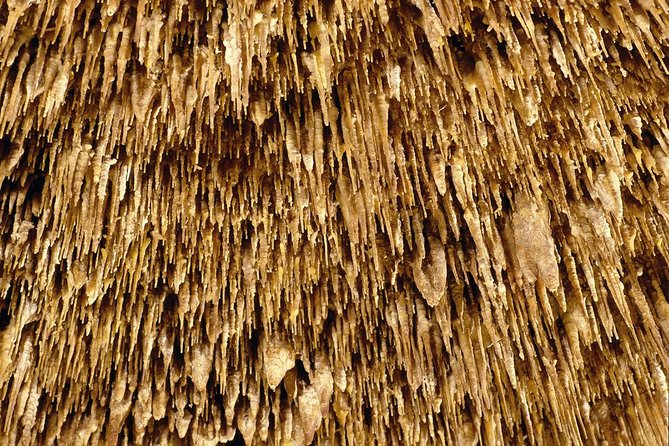 Caves of Drach Half-Day Tour with Boat Trip and Music Concert - Timing, meeting points, and practical warnings