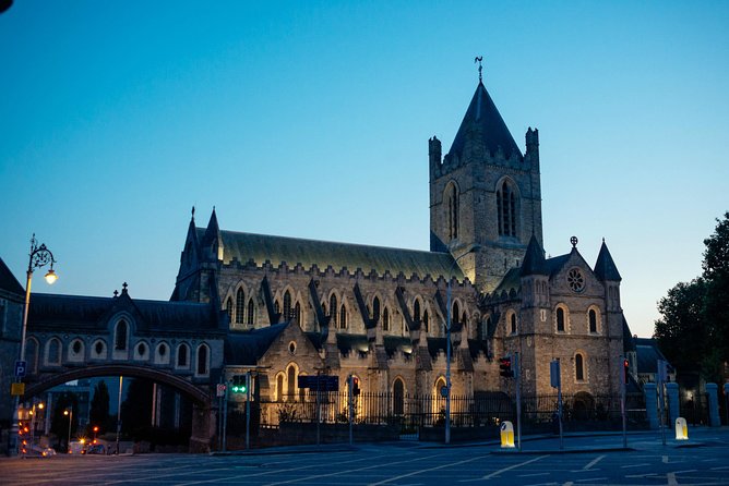 Classic Irish Pubs Private Tour of Dublin: Live Music, Beer and Nightlife - Who will enjoy this Dublin night out