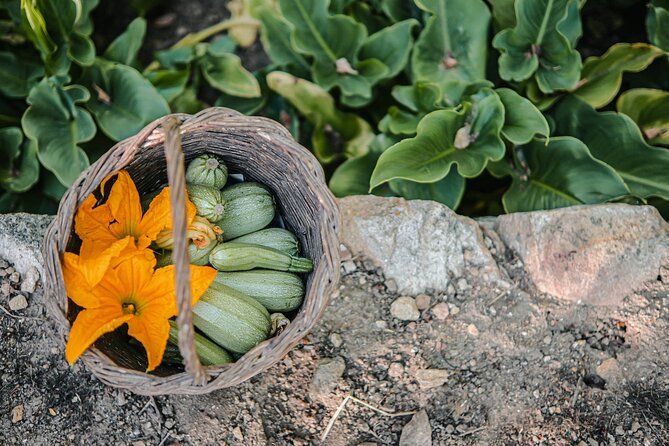 Cooking Experience Live Music and Traditional Dance in Naxos - Planning details that matter