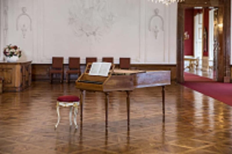 DomQuartier Salzburg: Date with Mozart! Afternoon concerts at the Residenz - What your 45 minutes are likely to include