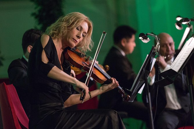 Exclusive Evening at Schönbrunn Palace: After-Hours Audiotour, Dinner, Concert - Dinner near the palace grounds