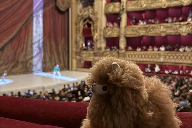 Exclusive Opera Garnier Private Guided Tour - Belle Époque Paris and the social side of the opera