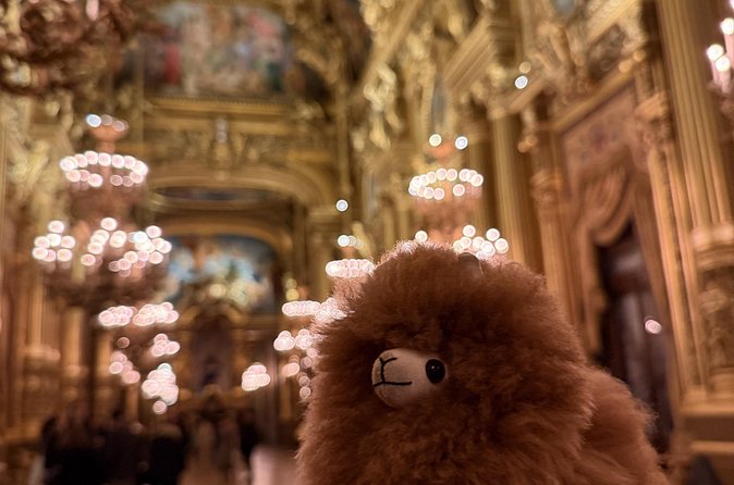 Exclusive Opera Garnier Private Guided Tour - Opera, ballet, and life behind the curtain