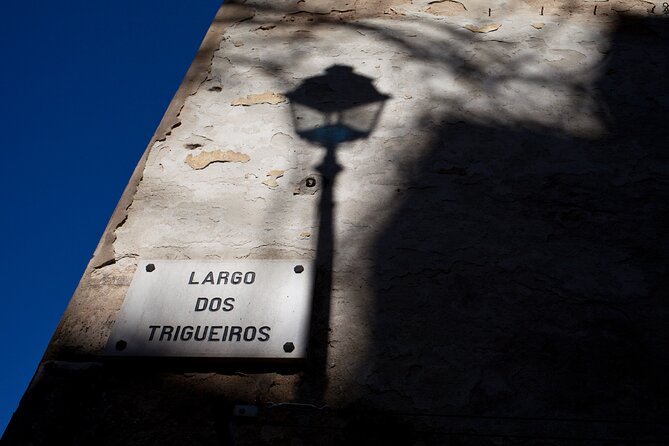 Fado: A Story of Thugs, Harlots and Poets - Private Walking Tour - Starting at Escadinhas da Saúde