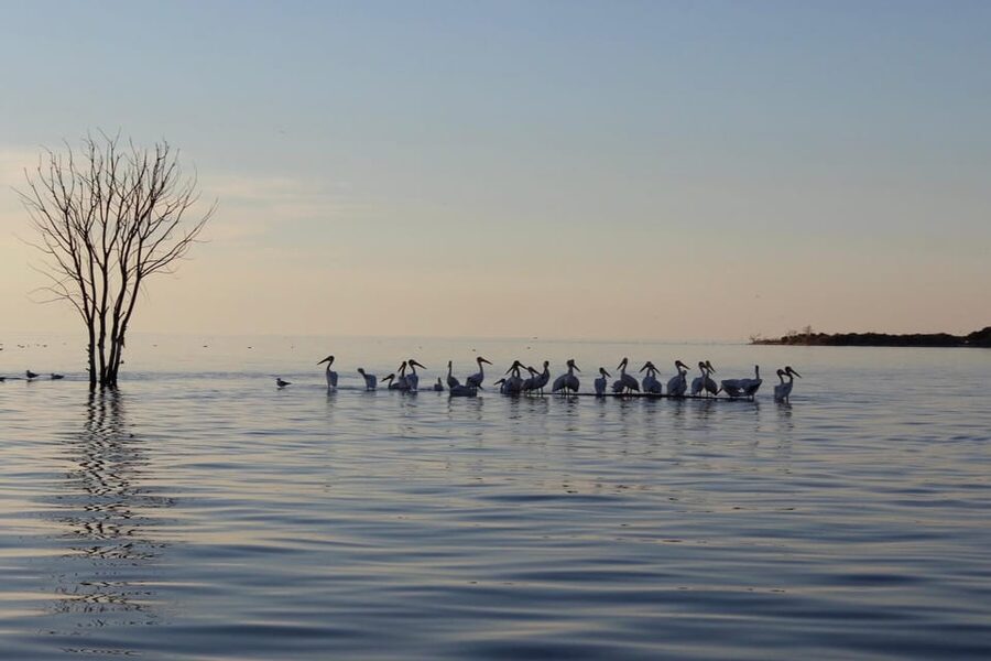 Fish Creek, WI: Sunset Live Music Cruise - Wildlife and shoreline views