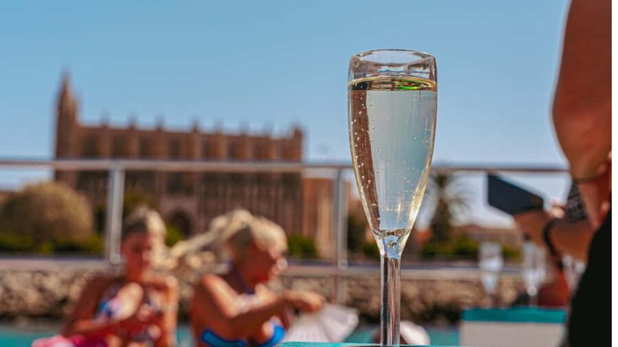 From Magaluf: Palma Bay Sightseeing Cruise with Live Music - The swim stop in a secluded cove