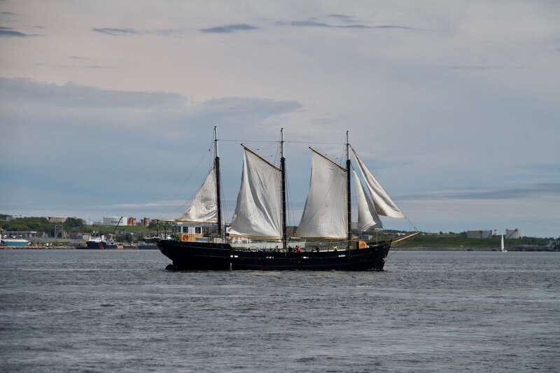 Halifax: Tall Ship Harbor Sailing Cruise with Live Music - Halifax Harbour From the Water
