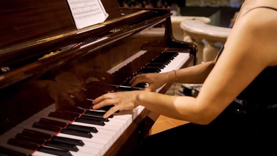 Heart of Florence: Dinner and Three Tenors Concert Ticket - Is the $88 price fair?