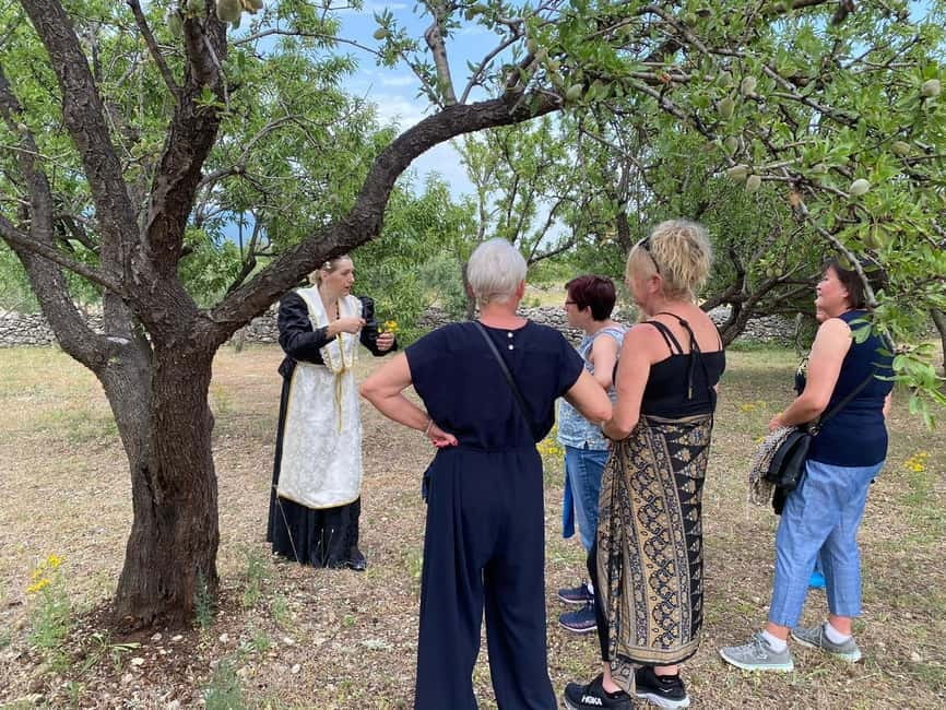 Kastela: Wine & Olive Tasting Tour w/Delicacies & Live Music - Key points at a glance