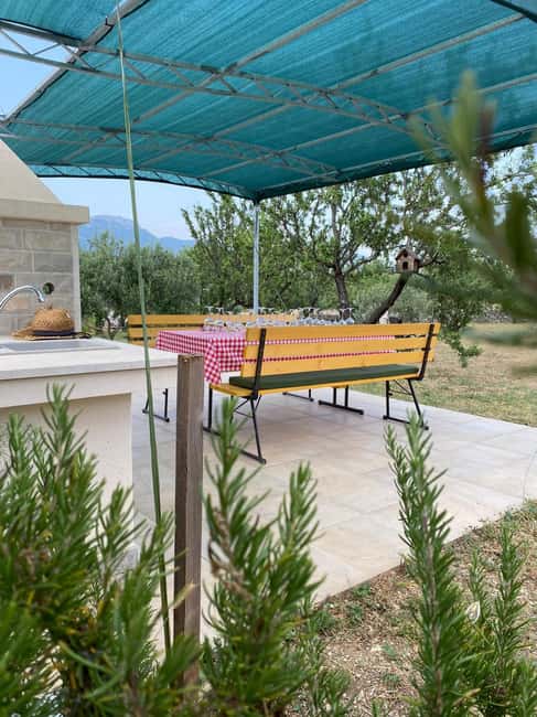 Kastela: Wine & Olive Tasting Tour w/Delicacies & Live Music - Inside the cellar: schnapps, wine, and your own bottle