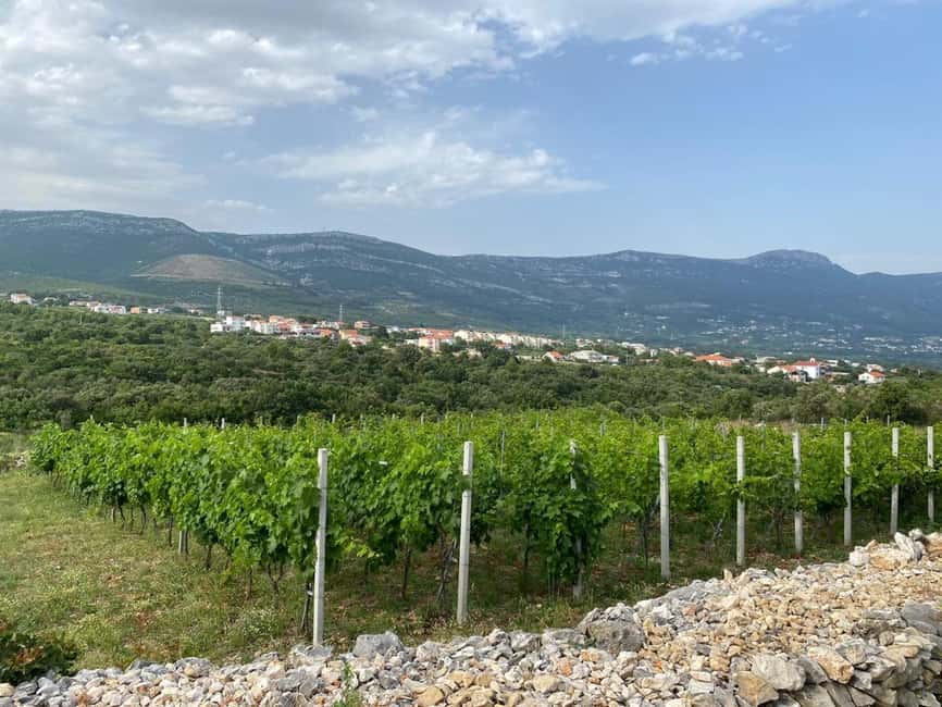 Kastela: Wine & Olive Tasting Tour w/Delicacies & Live Music - Walking the olive, almond, and grape groves