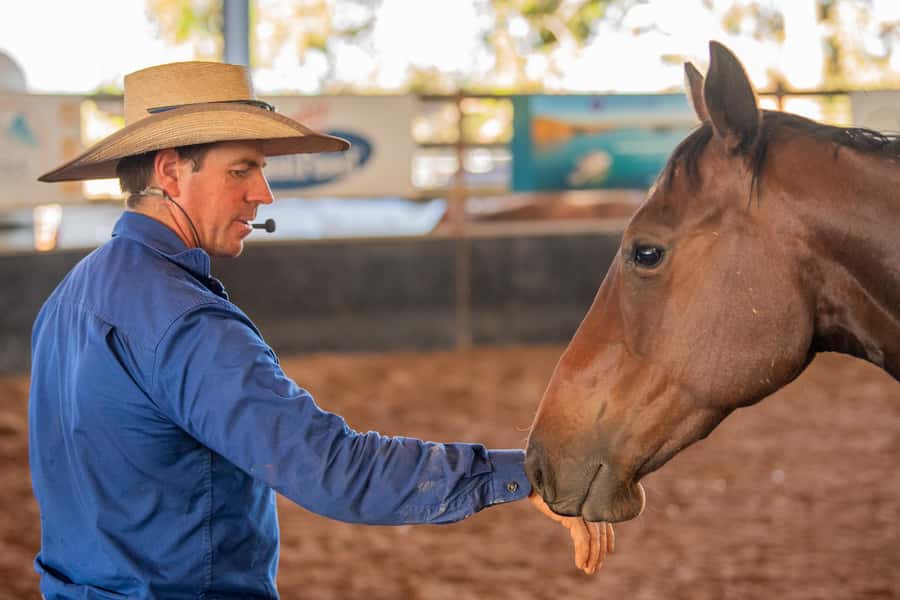 Katherine: Authentic Outback Show and Live Music - Meeting the horses, dogs, buffalo, cattle, and goats