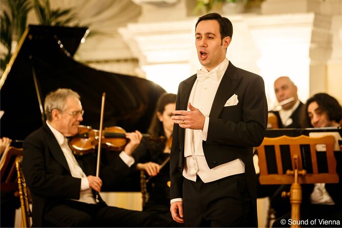 Kursalon Vienna: Strauss and Mozart Concert With Dinner - What the price includes, and what it does not