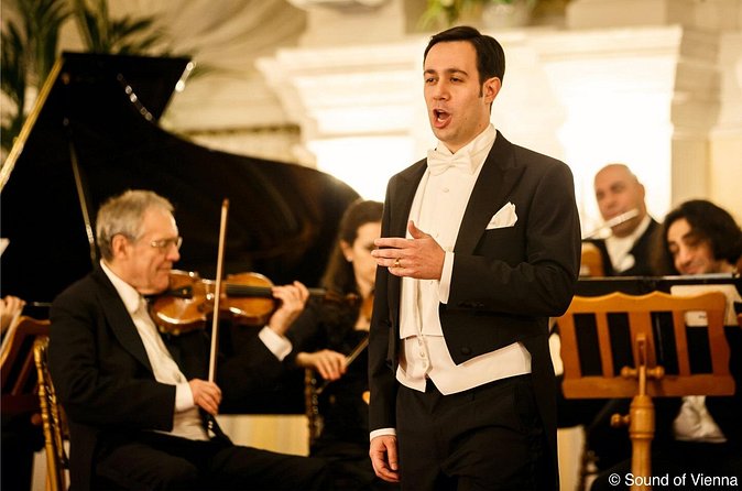 Kursalon Vienna: Strauss and Mozart Concert With Dinner - Who will enjoy this evening most