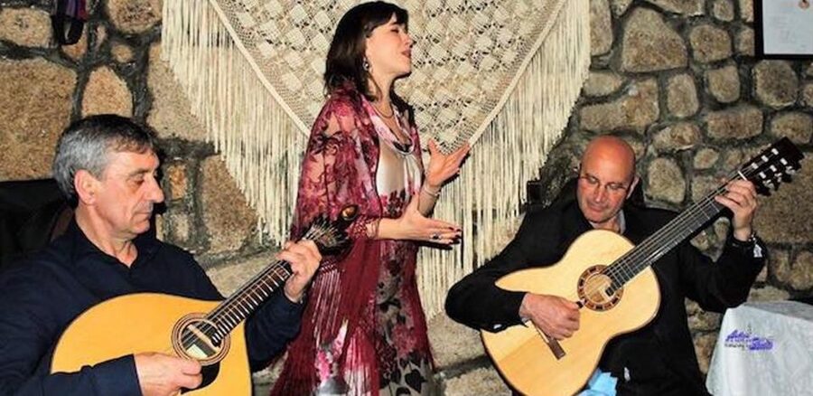 Lisbon Dinner with Fado Show and Sights by Night - Key points to know before booking