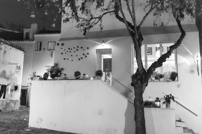 Lisbon Fado Walking Tour (with a Fado singer) - Who will get the most from this evening