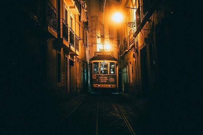 Lisbon Guided Tour with Live Fado Show and Traditional Dinner - Practical details that affect your night