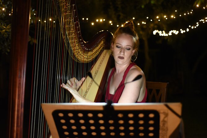 Live Opera Concert and Wine Tasting in Florence - The opera performance at sunset
