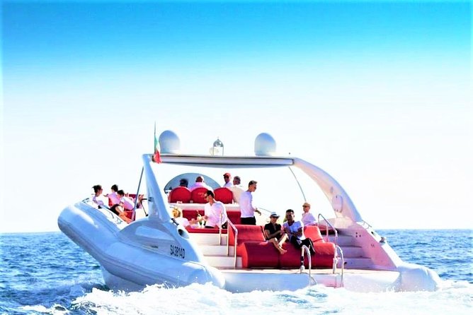 Luxury Opera 60 Whale & Dolphin Watching Experience - Key points about the Opera 60 boat trip