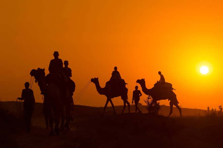 Marrakech: Agafay Desert Dinner, Camel Ride, and Music Show - Key points to know before you book