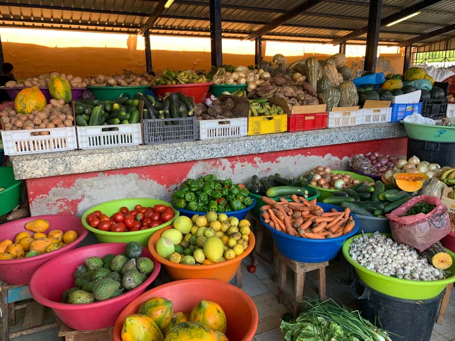 Mindelo Cultural: city tour with live music and tasting - Is $141 good value for four hours?