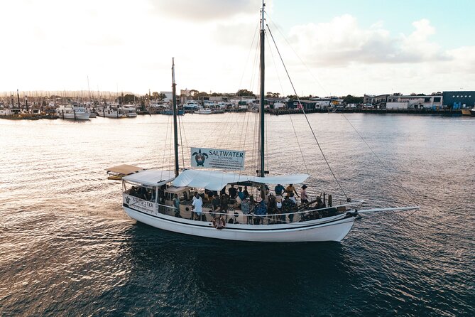 Mooloolaba Sunset Cruise with Live Music - Why the live music changes the mood