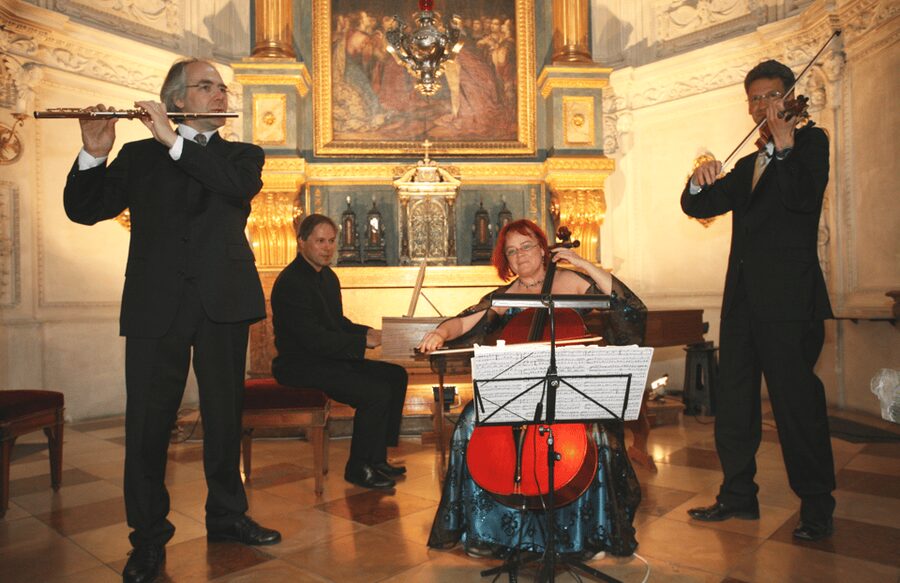Munich: Classical Concert at the Residenz Palace - Arriving through the lion gate