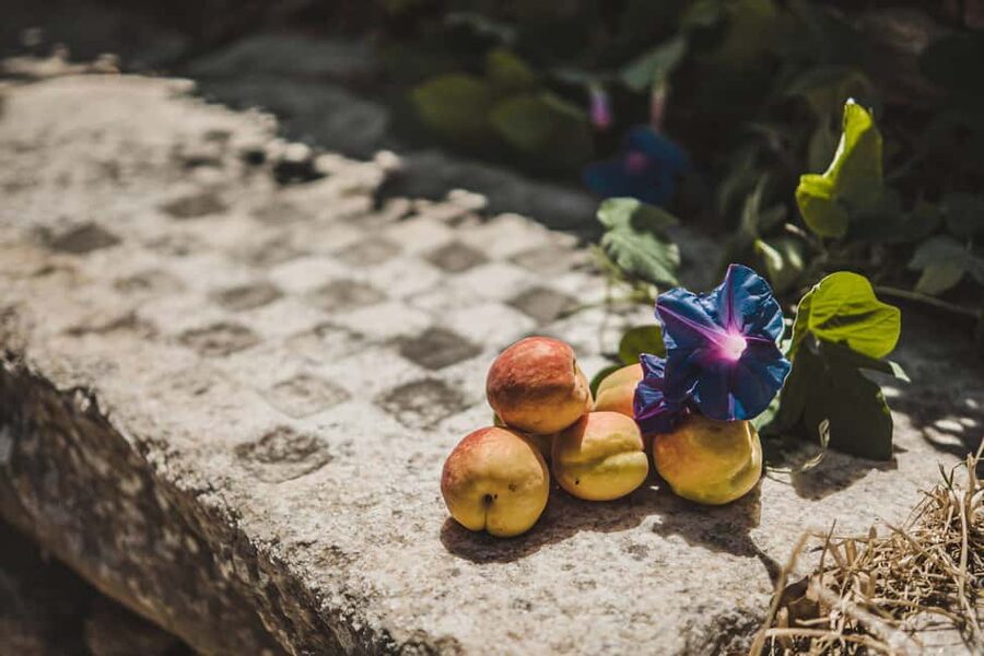 Naxos: Family Farm-table Cooking, Kouros Tour & Live Music - Learning a Naxian dance without pressure