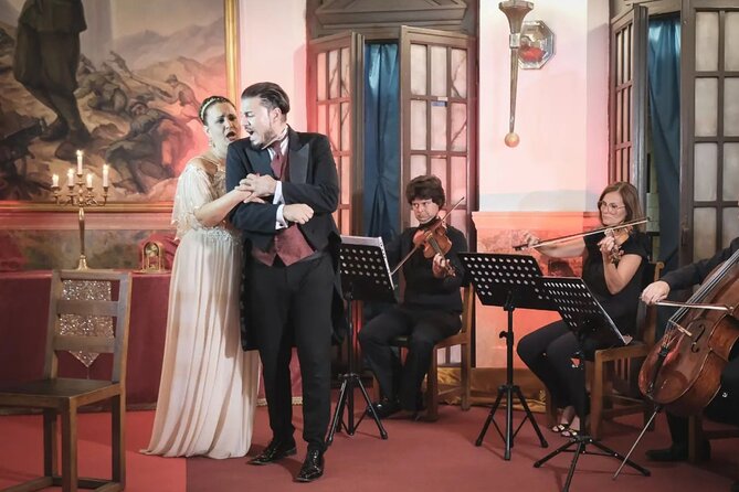 Opera Concert in Verona Palace with Prosecco - Who should book this experience?