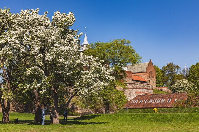 Oslo Private Tour: From The Opera to Vigeland Sculpture Park - A quick look at Deichman Library