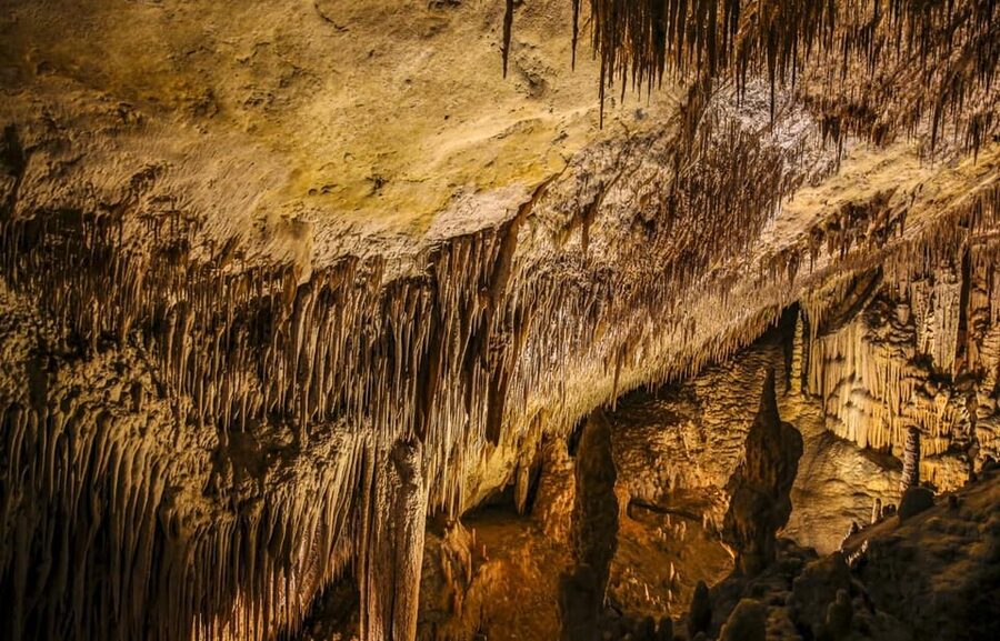 Palma: Caves of Drach Entrance, Music Concert, and Boat Trip - The Palma meeting point and the coach ride