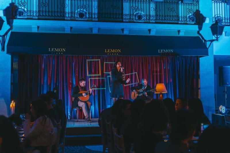 Porto: Fado Show & Dinner: A Night of Fado & Fine Dining - Who should book this experience