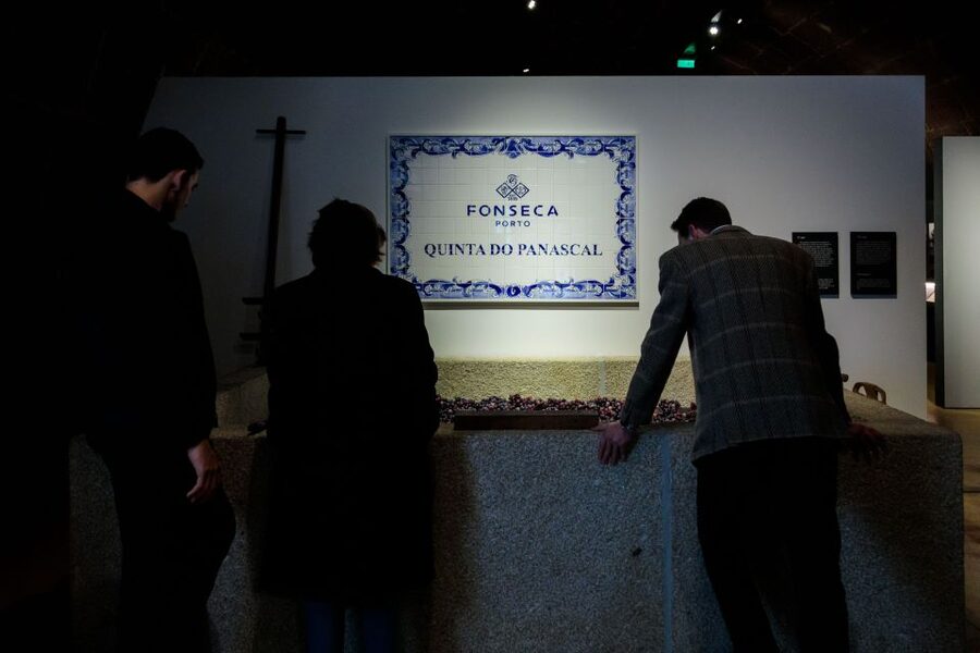 Porto: Fonseca Cellar Tour & Fado Show with Optional Dinner - My call: book it for the music, not a major wine tasting