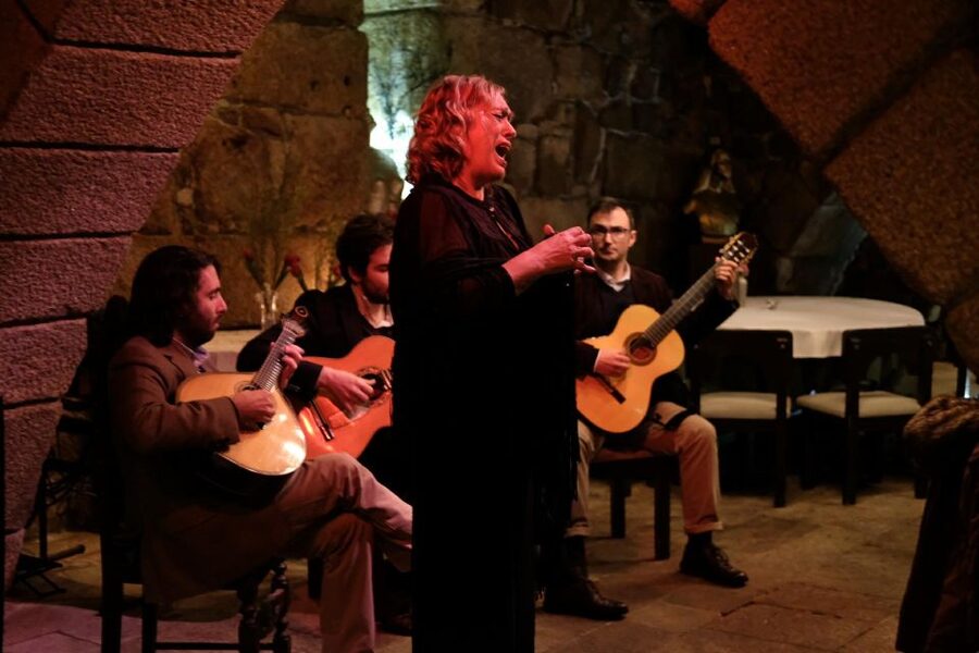 Porto Moonlight Walk & Fado Dinner - A moonlit start at Praça de Gomes Teixeira