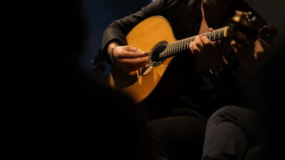 The highest-rated traditional fado concert (downtown)