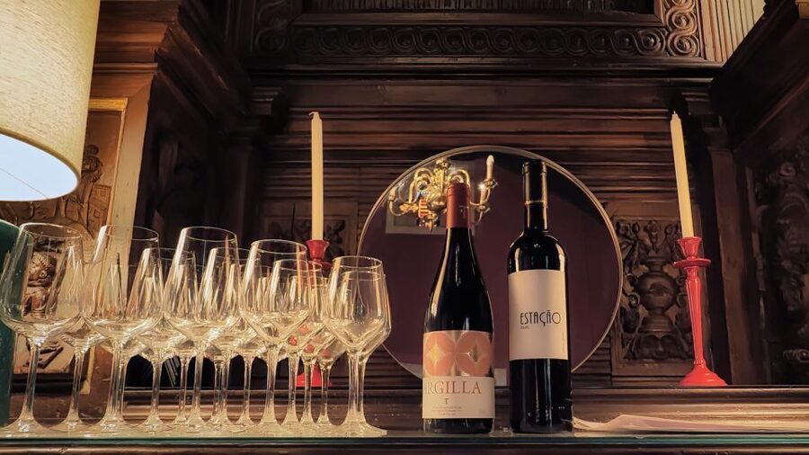 Porto: Wine Tour & One Hour Fado Show | All Included - What the guide adds to the evening