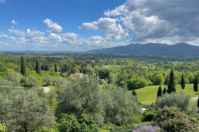 Private Concert in the Artist's House on the Hills of Lucca - A concert above Lucca, not a standard city performance
