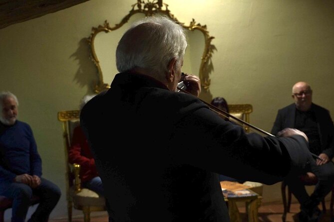 Private Concert in the Artist's House on the Hills of Lucca - Is $82.21 a fair price?