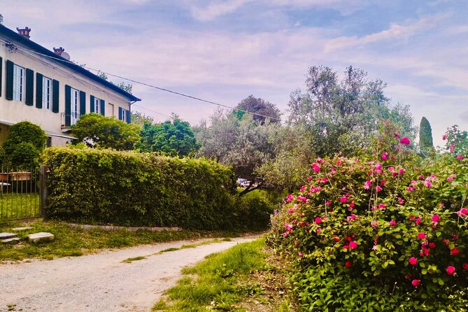 Private Concert in the Artist's House on the Hills of Lucca - Who should choose this experience?