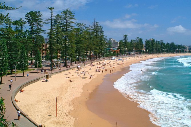 Private Sydney Tour Including Sydney Opera House, Bondi and Manly - Royal Botanic Gardens, Parliament, and Kings Cross from the vehicle
