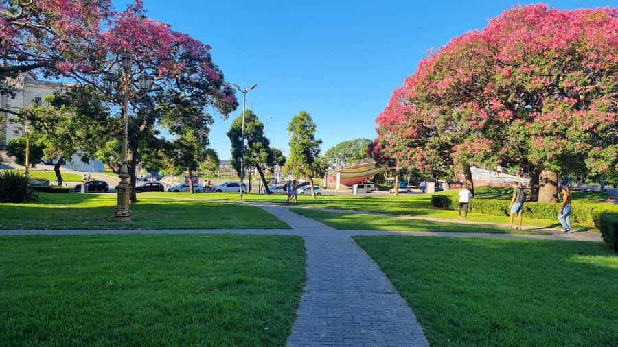 Recoleta Walking Tour and Live Jazz Show - Plaza Francia and Iglesia del Pilar