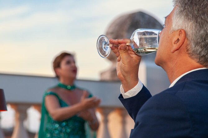 Rome: Rooftop Gourmet Dinner & Opera Performance - What the opera portion feels like