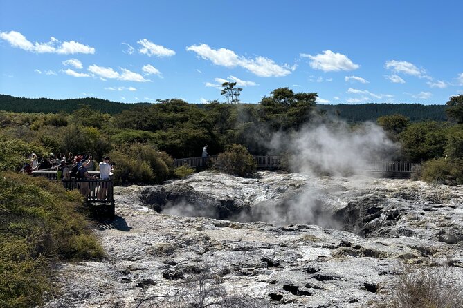 Rotorua: WaiOtapu & Redwood forest & Blues springs from Auckland - Wai-O-Tapu’s steaming ground and mud pools