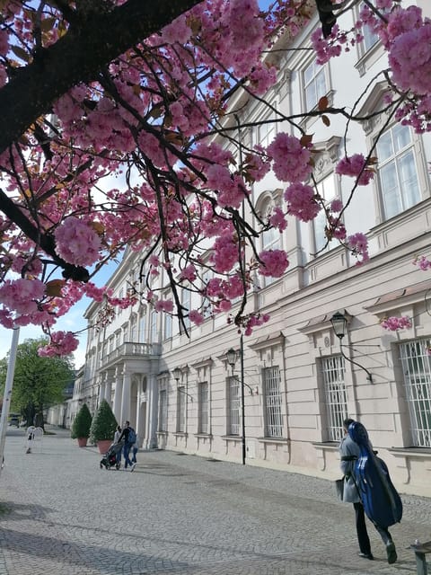 Salzburg: Classical Music Concert at the Mirabell - What the 75-minute program feels like