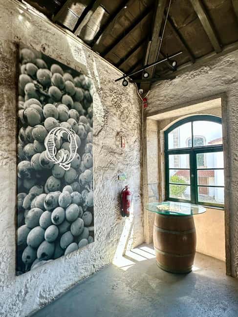 Soul of Portugal: an immersive experience of fado, wine, and tradition - Why fado works best in an intimate setting
