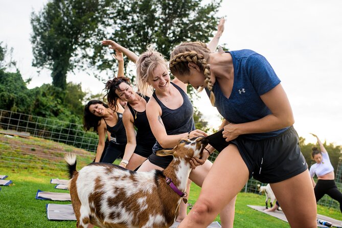Sunset Maui Goat Yoga with Live Music - Why Maui Goat Yoga is more than a regular yoga class